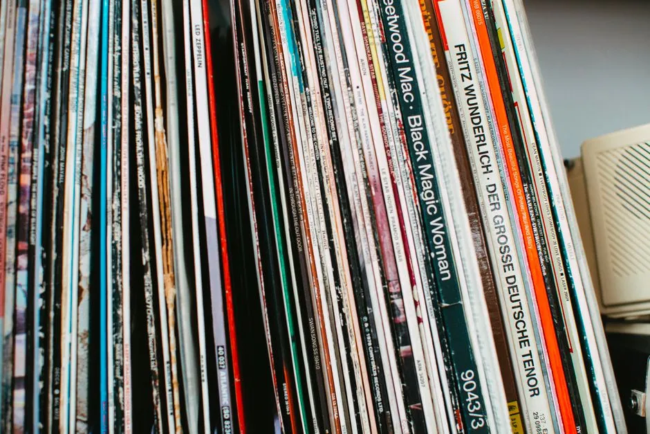 Rows of vinyl records displayed on shelves in a collection